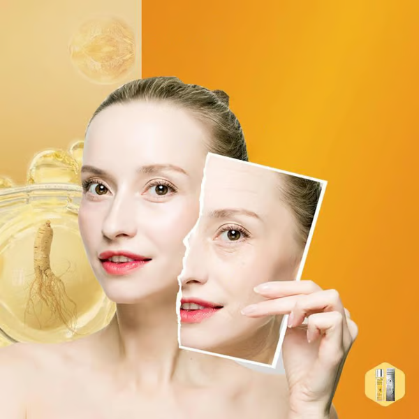 🏆Limited time offer⚡Wild Ginseng Anti-Aging Essenc